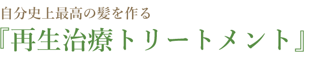 美髪をつくる癒しのトリートメントケア