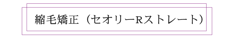 美髪修復トリートメント